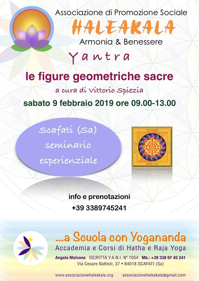 51138342_2084904474957191_6424625717325070336_n