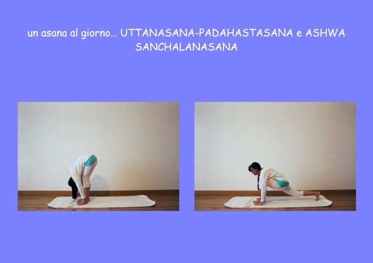 foto UTTANASANA-PADAHASTASANA e ASHWA SANCHALANASANA