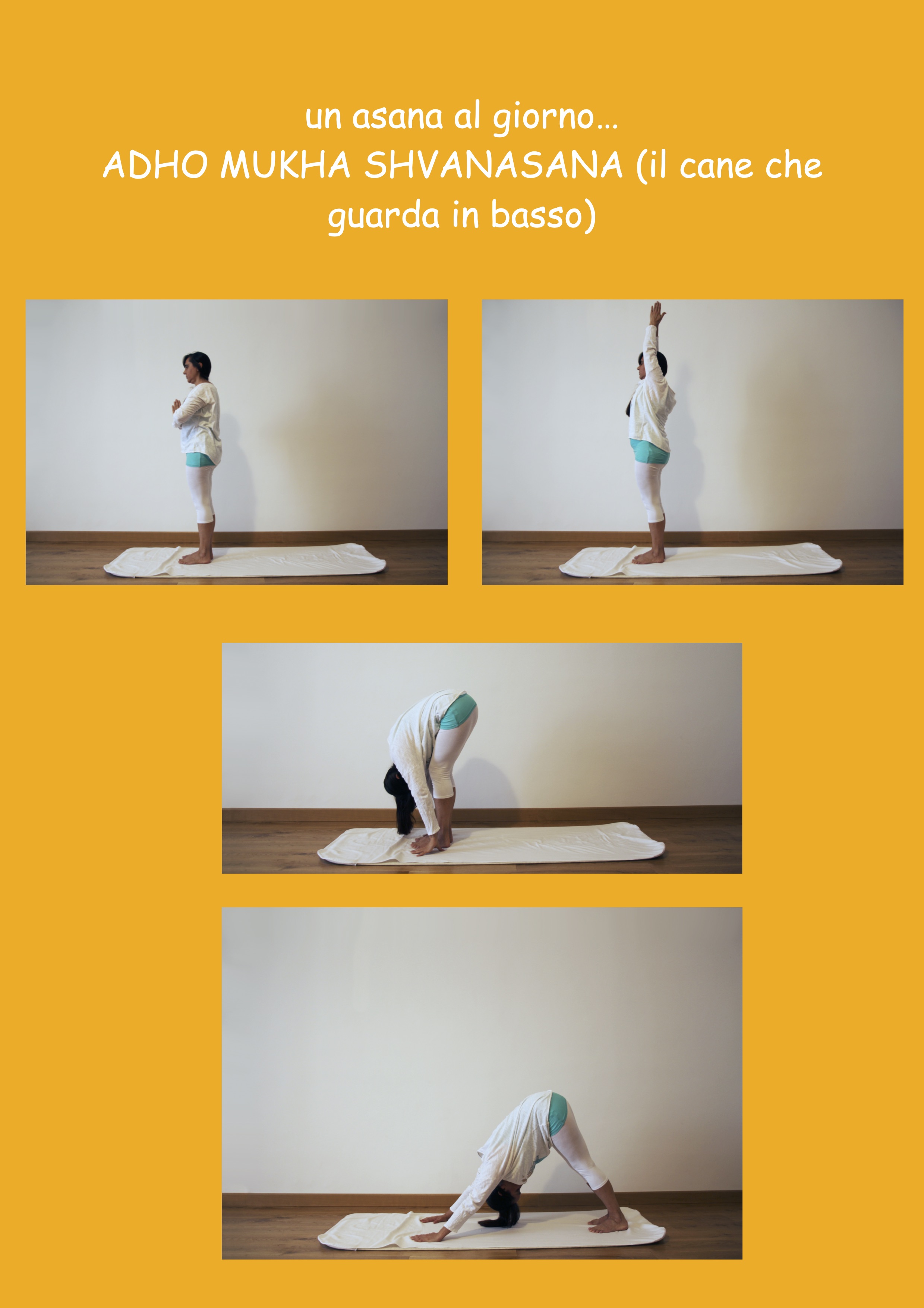 un asana al giorno ADHO MUKHA SHVANASANA