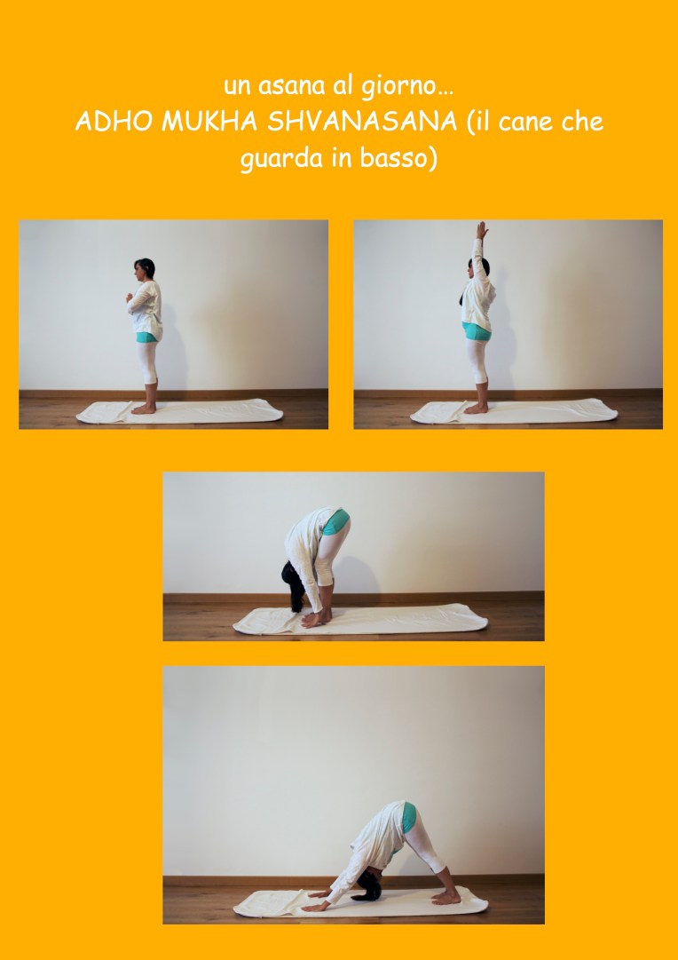un asana al giorno ADHO MUKHA SHVANASANA
