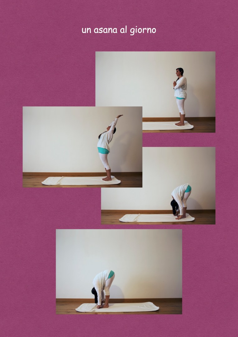 un asana al giorno PADAHASTASANA.jpg
