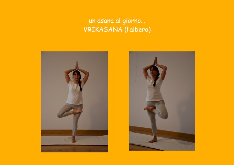 un asana al giorno VRIKASANA