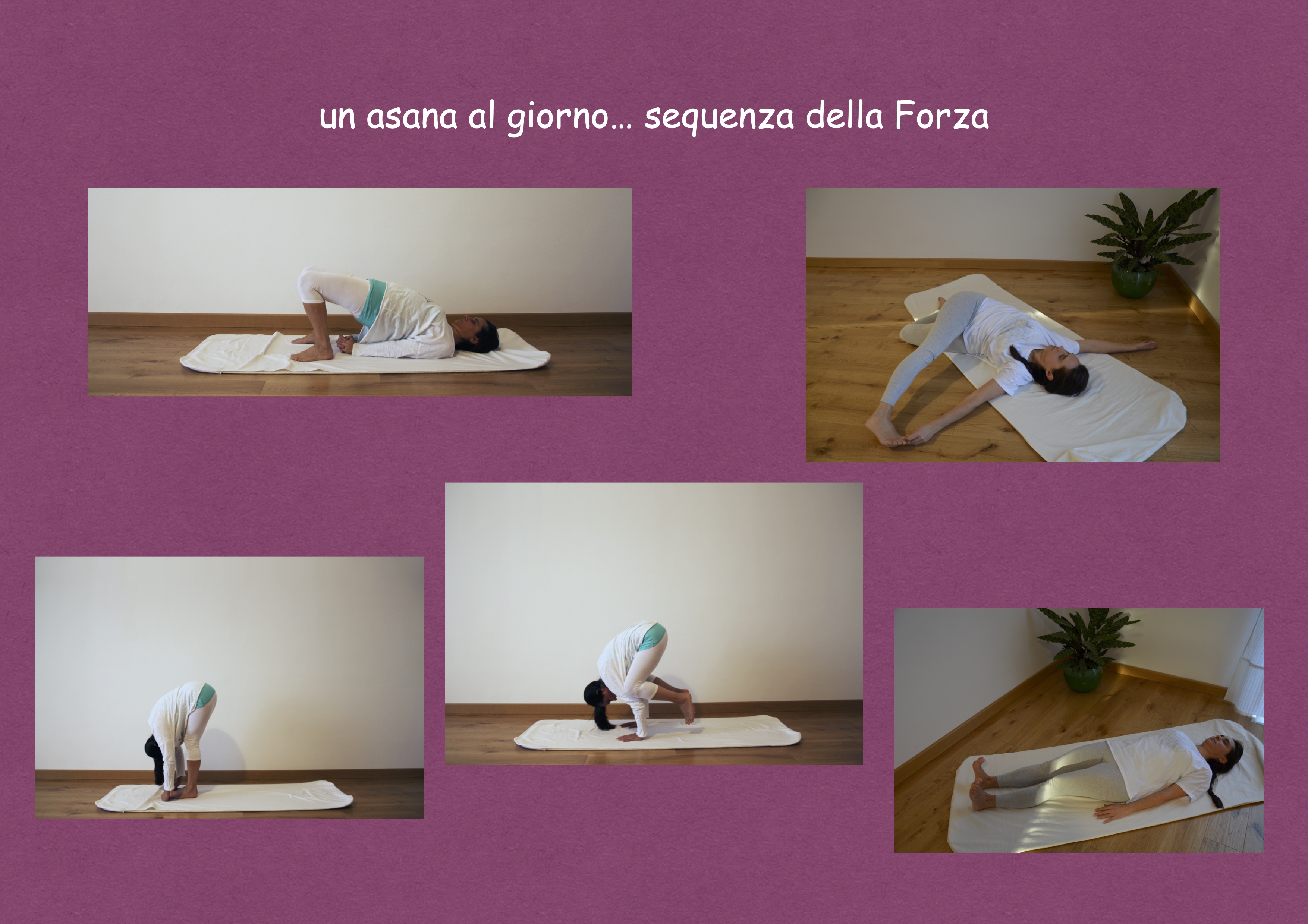 un asana al giorno...sequenza della Forza