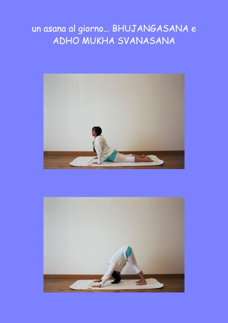 BHUJANGASANA e ADHO MUKHA SVANASANA